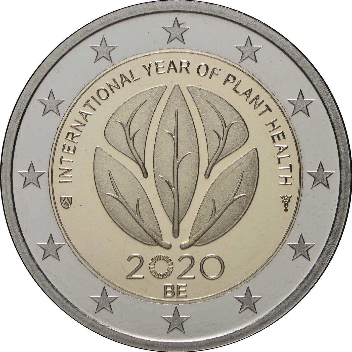 MEDNARODNO LETO ZDRAVJA RASTLIN ( IYPH 2020 )
