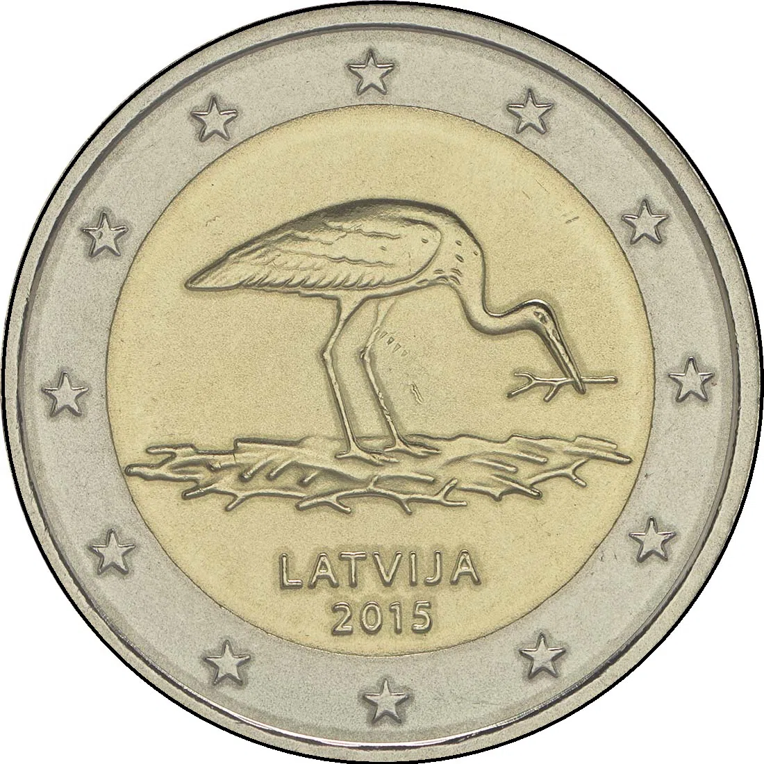 OGROŽENA NARAVA - ČRNA ŠTORKLJA