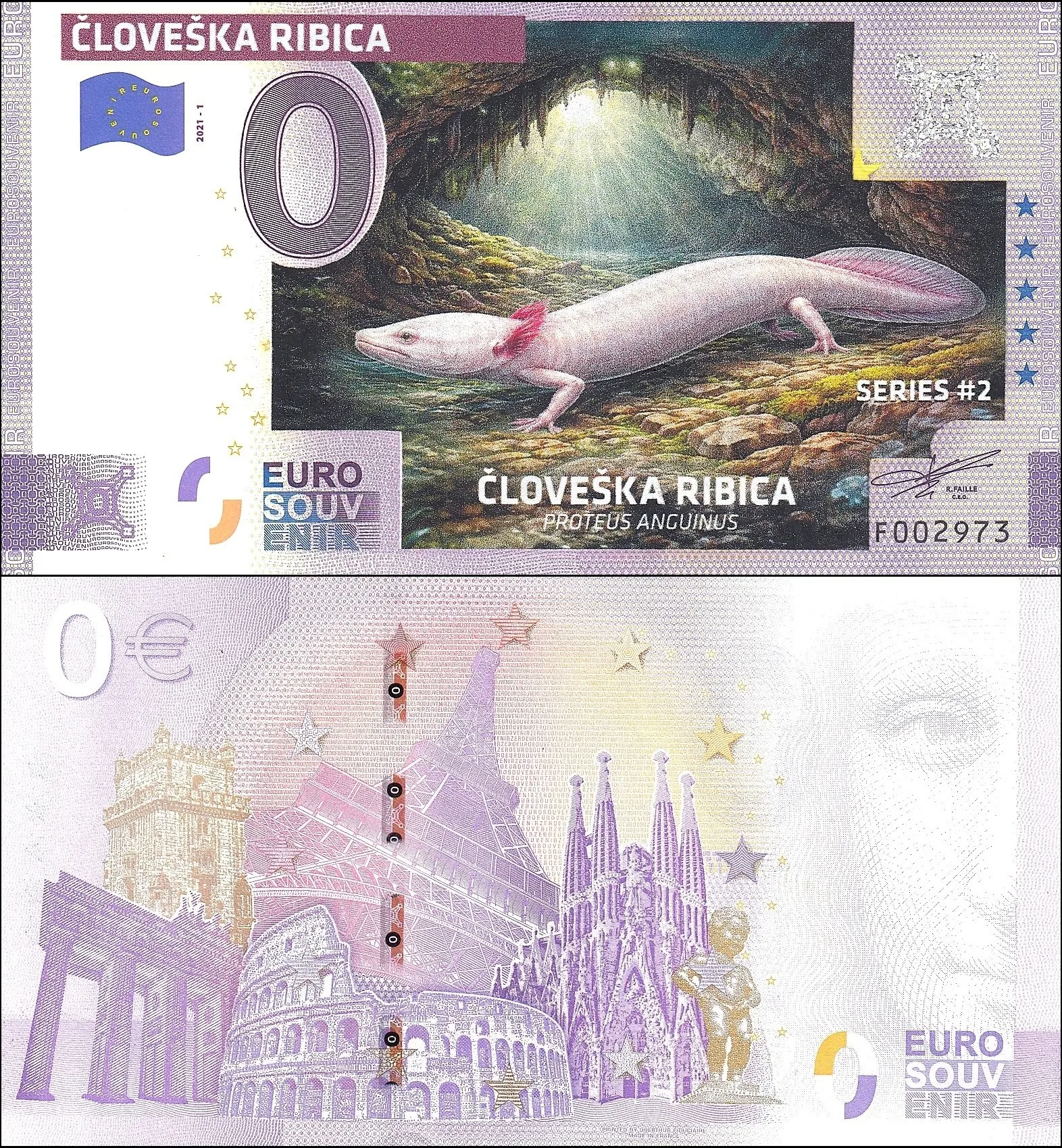 ČLOVEŠKA RIBICA