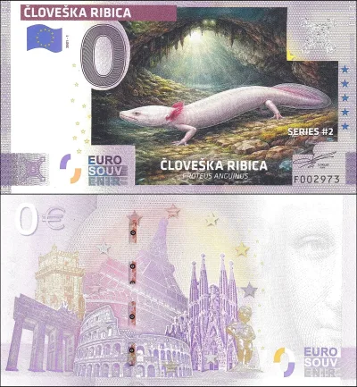ČLOVEŠKA RIBICA