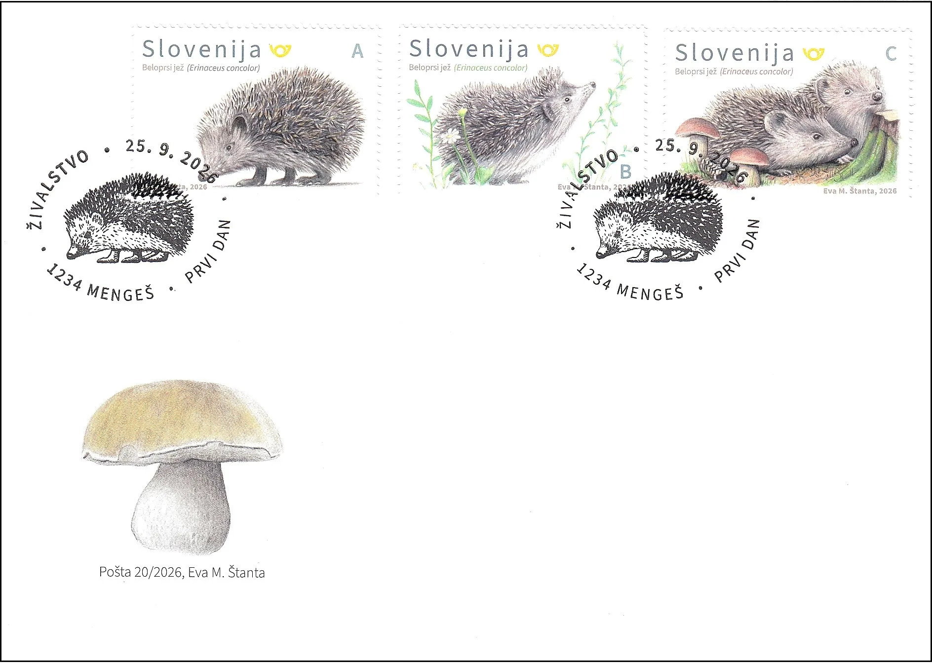 ŽIVALSTVO  - BELOPRSI JEŽ