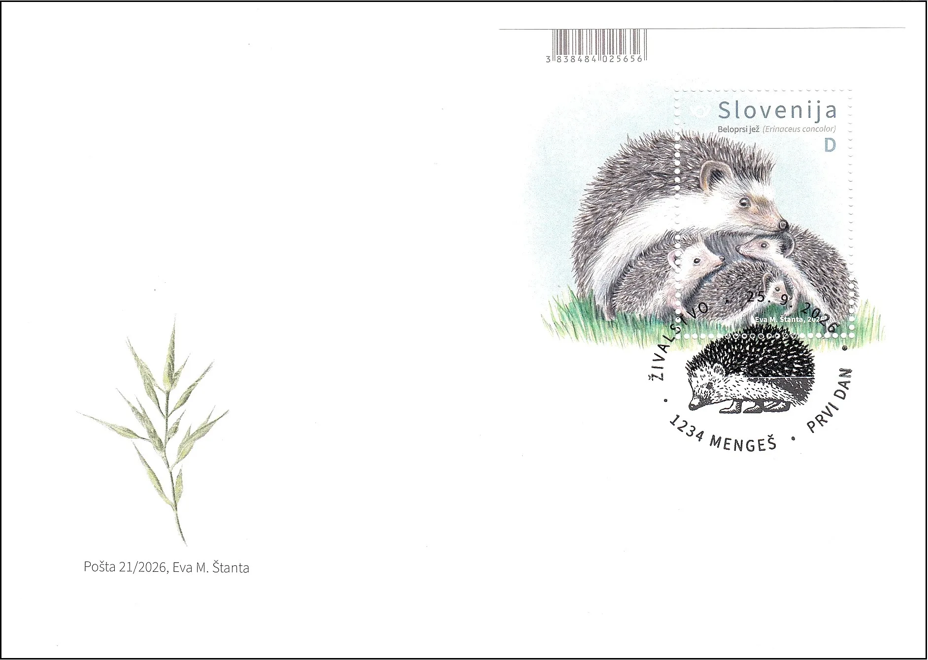 ŽIVALSTVO - BELOPRSI JEŽ